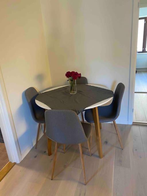 Moderne Leilighet Midt I Sentrum Av Fredrikstad Dış mekan fotoğraf
