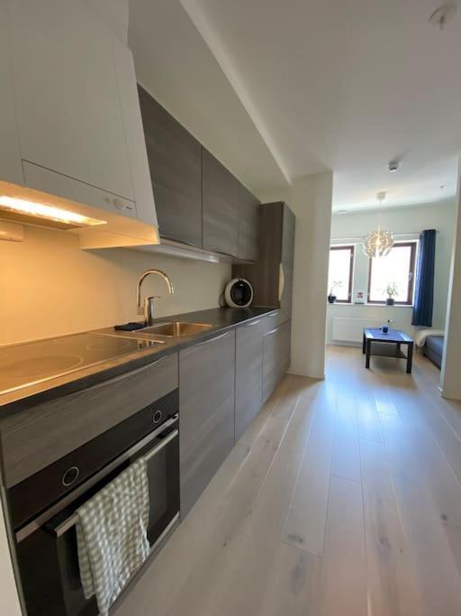 Moderne Leilighet Midt I Sentrum Av Fredrikstad Dış mekan fotoğraf