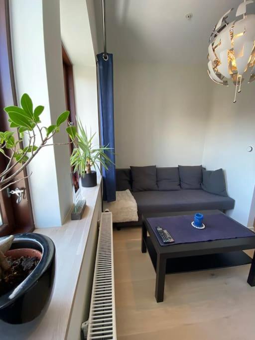 Moderne Leilighet Midt I Sentrum Av Fredrikstad Dış mekan fotoğraf